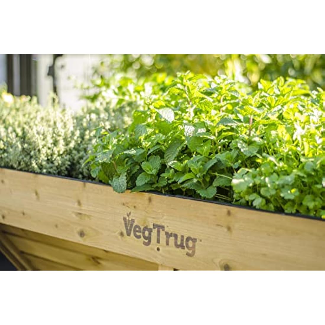 VegTrug Medium Wallhugger Raised Garden Bed |  Planter