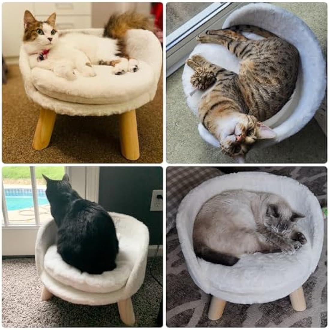 BingoPaw Elevated Cat Sofa Bed | Raised Wooden Pet Stool with Washable Mat