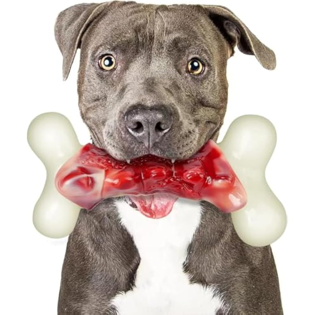 Jolof Store Indestructible Dog Bone Toy for Aggressive Chewers | Bacon