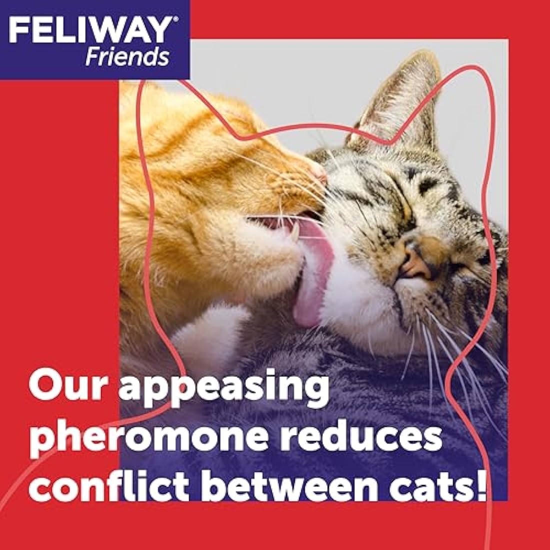 FELIWAY Friends Cat Calming Pheromone Diffuser Starter Kit | 30 Day Supply