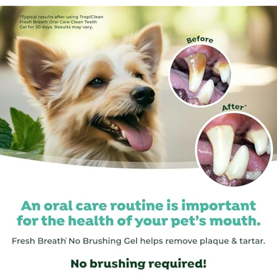 TropiClean Fresh Breath Dog Teeth Cleaning Gel – No Brushing, 118ml