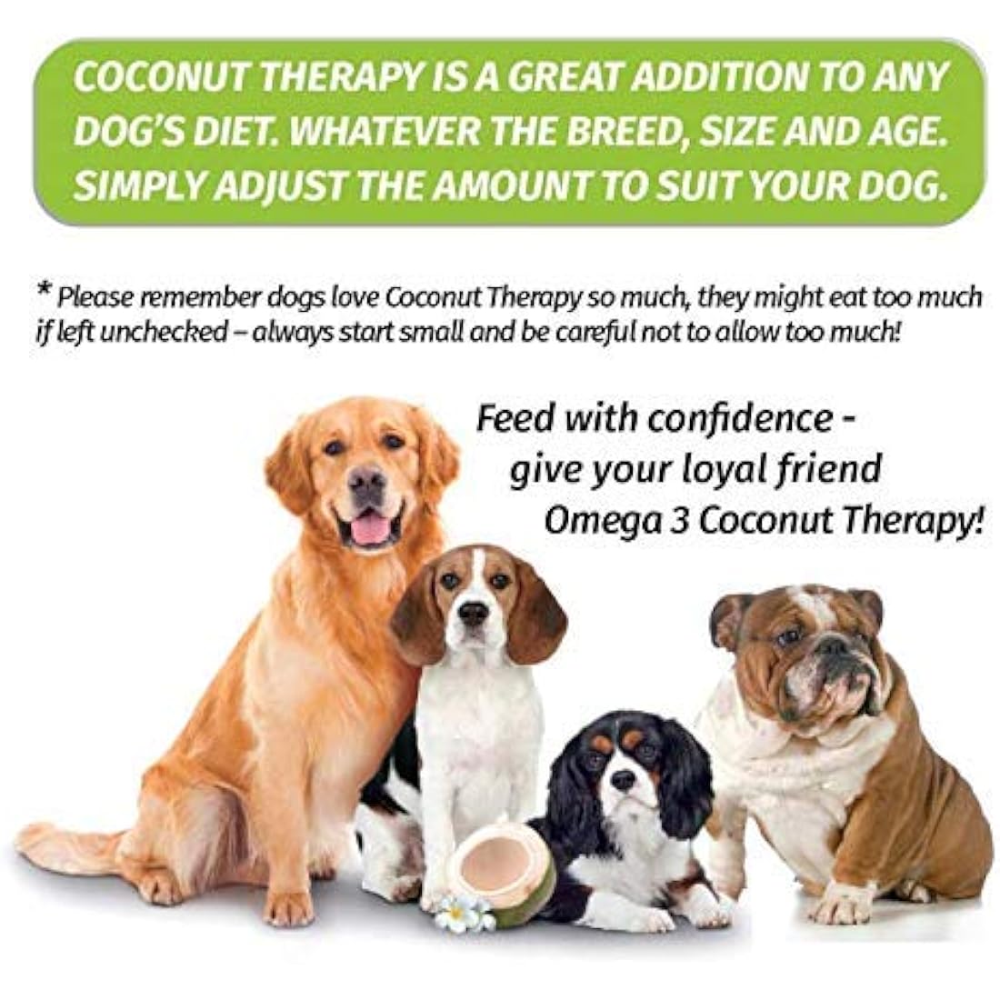 TIANA Coconut Therapy Dog Supplement with Omega-3 - 500ml (Pack of 6)
