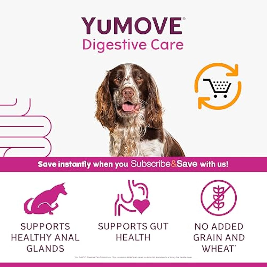 YuMOVE Digestive Care & Fibre Dog Probiotic Supplement for Gut Health – 180g