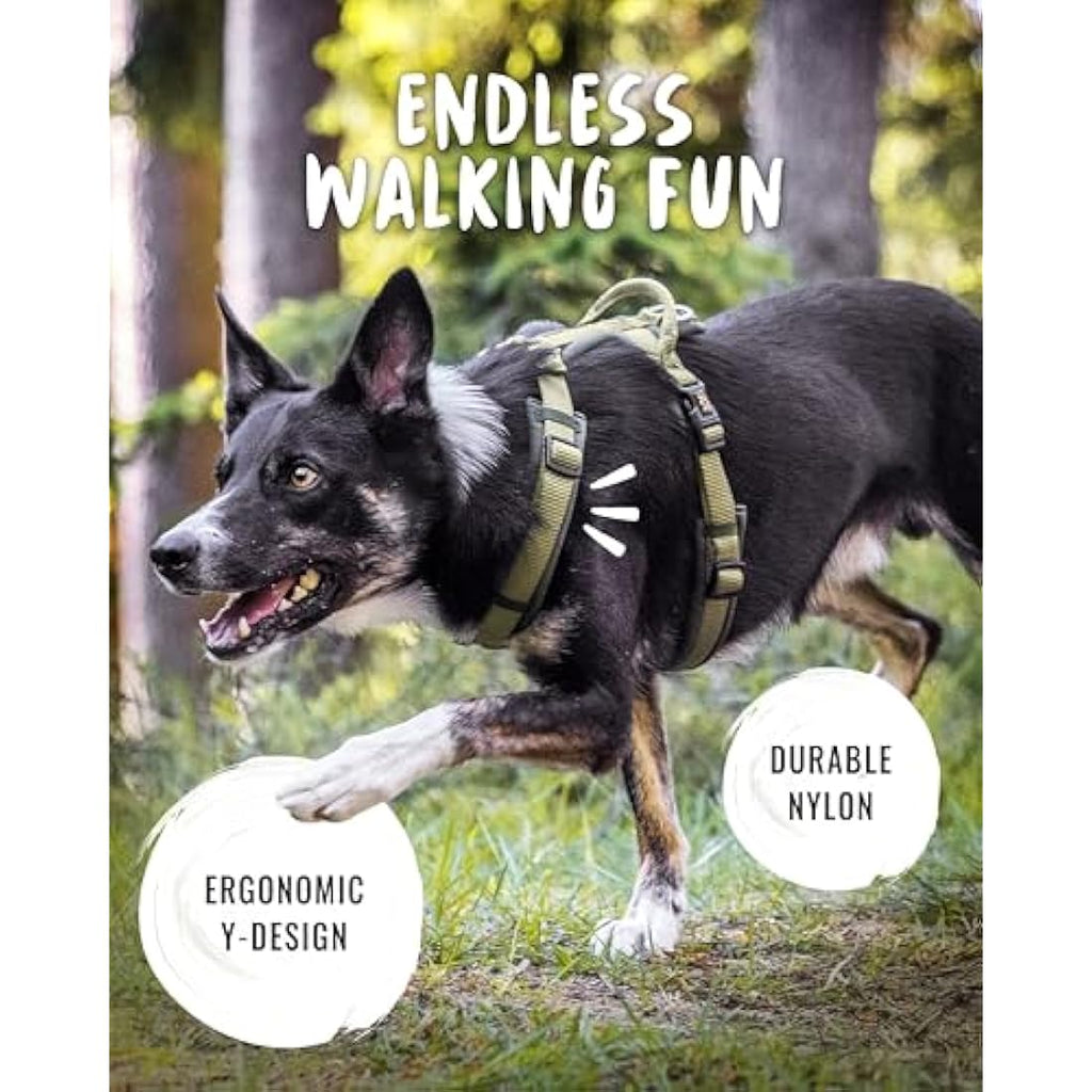 Rudelkönig Bella Dog Harness – No Pull Padded Escape Proof Chest Harness