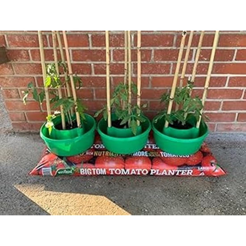 Jolof Store Plant Halo Self-Watering Pot and Crop Support System – Green
