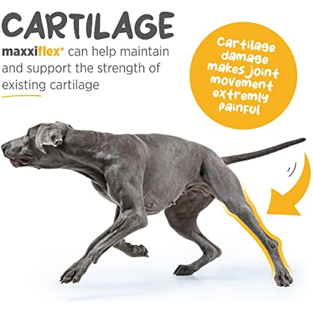maxxipaws maxxiflex+ Dog Hip & Joint Supplement - Glucosamine - 120 Tablets