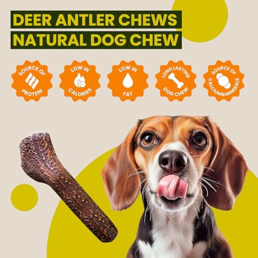 Scottish Deer Antler Dog Chew – Natural Super XL (350-450g)