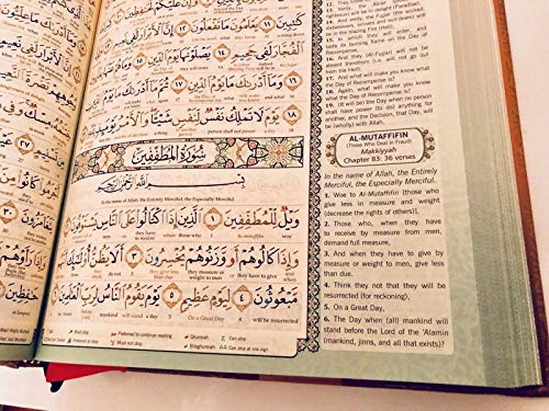 Maqdis Al-Quran Word-for-Word Translation | Tajweed Color Coded A4