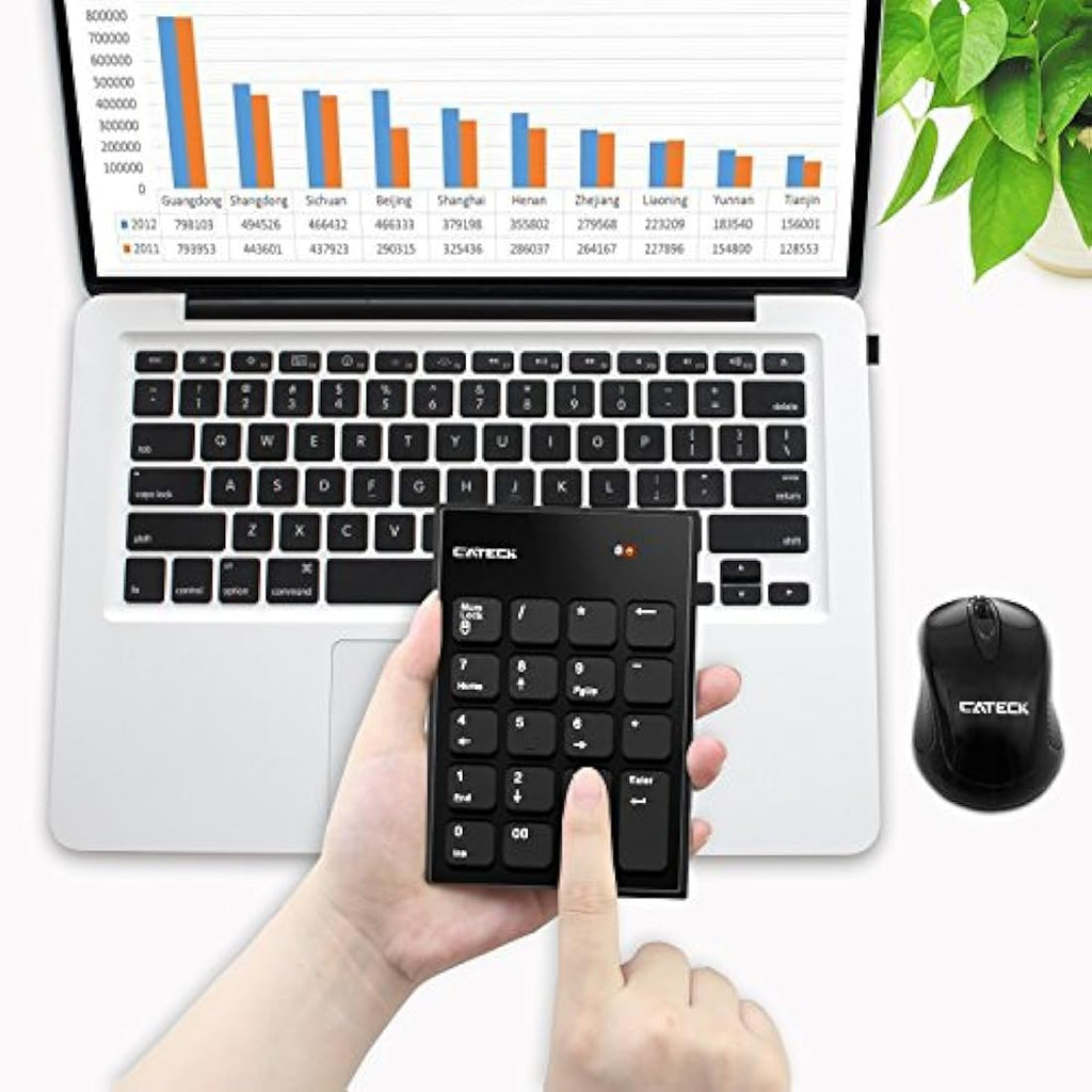Cateck 2.4G Wireless Numeric Keypad and Mouse Combo for Laptop & PC