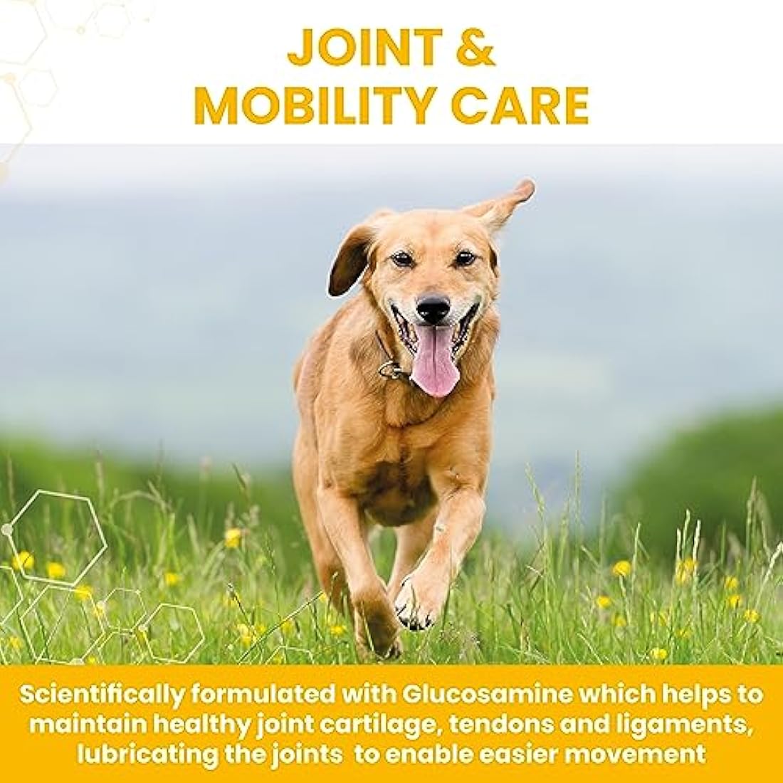 Vetzyme Dog Joint Supplements – Glucosamine & Chicken Tablets (30 Pack)