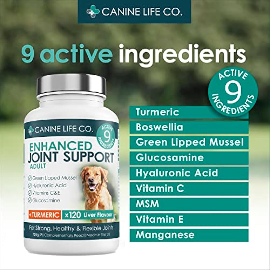 Canine Life Co. Dog Joint Supplement - Glucosamine & Turmeric - 300 Tablets