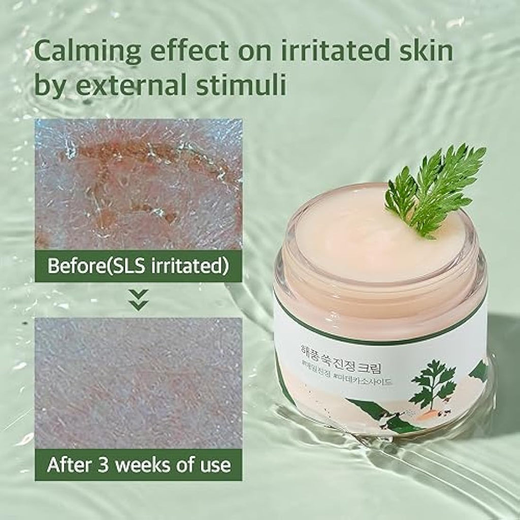 ROUND LAB Mugwort Calming Cream – Soothing Face Moisturizer (80 ml)
