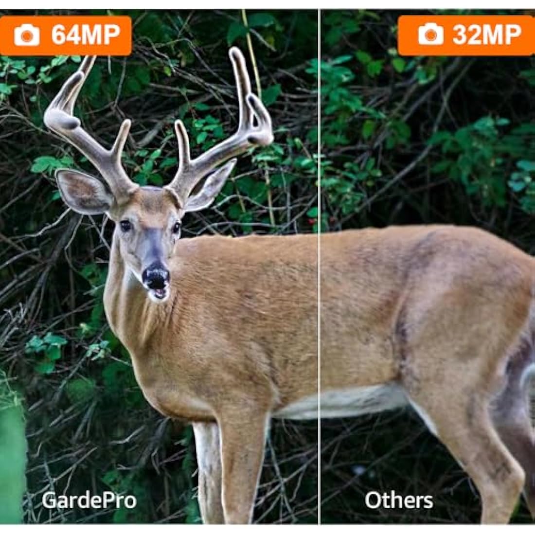 GardePro A3S Trail Camera – 64MP 1296p Wildlife Camera with Night Vision