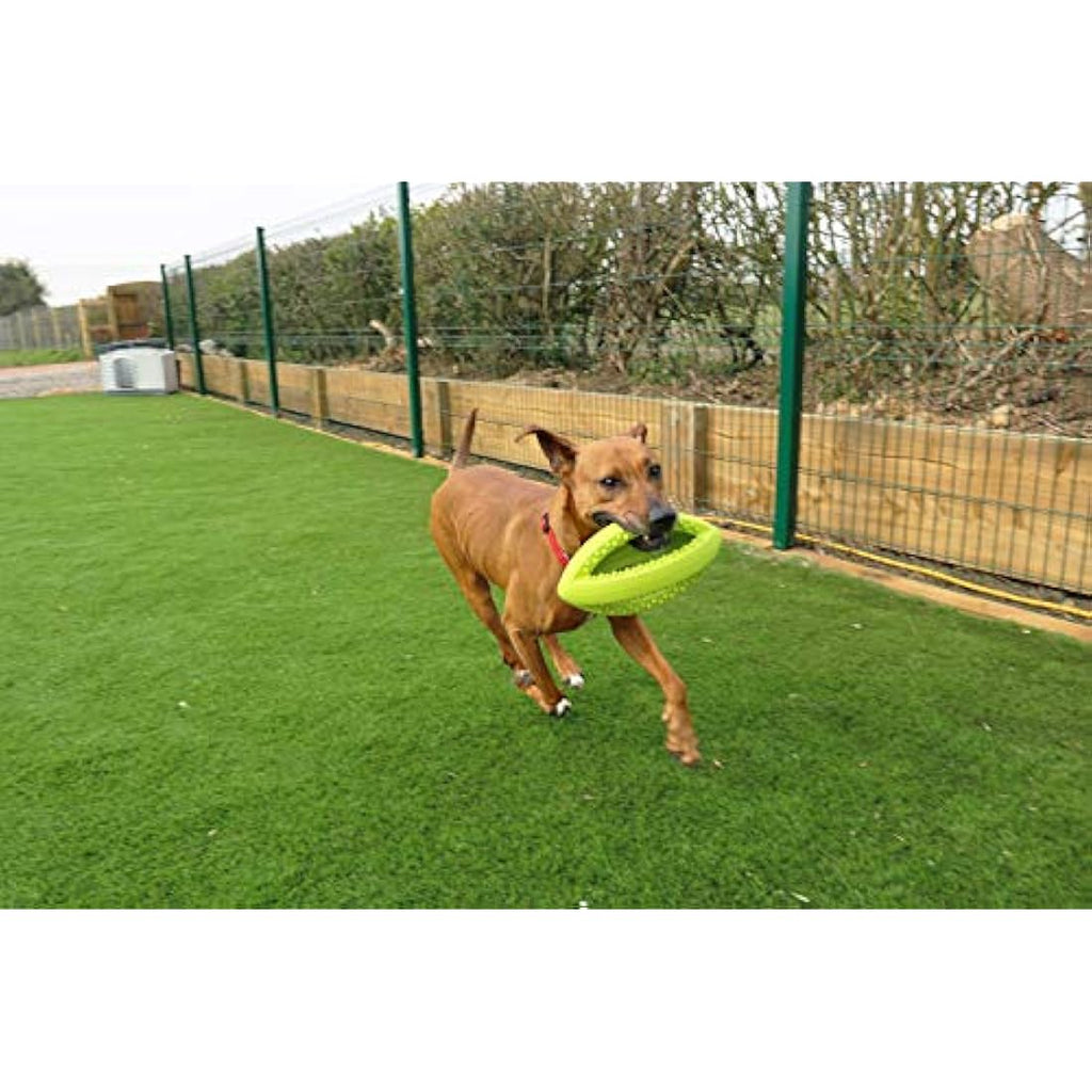 Grubber Rugby Ball Dog Toy – Durable Interactive Fetch Toy