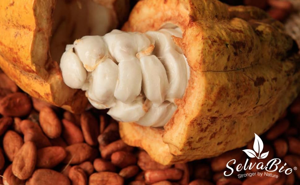 Organic Ceremonial Grade Cacao – Raw Peruvian Criollo, 500g