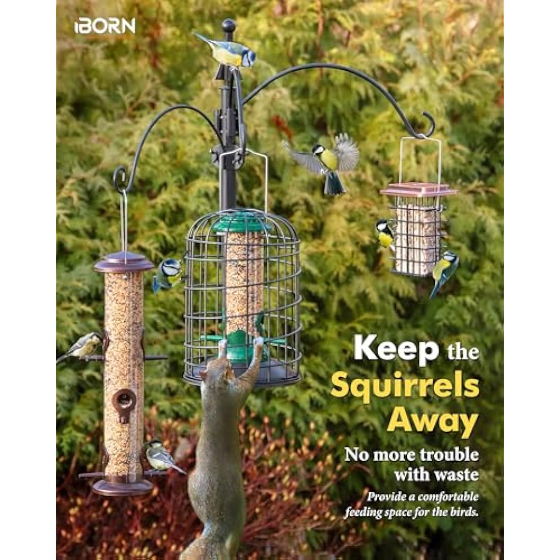 iBorn Squirrel Proof Bird Feeder – Heavy Duty Metal Caged Wild Bird Feeder