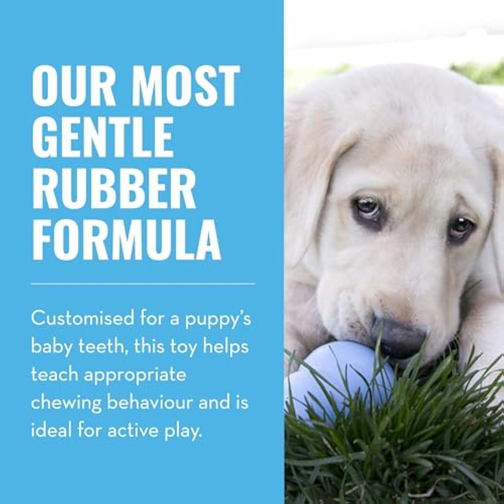 KONG Puppy Teething Toy – Stuffable Natural Rubber Chew Toy, Large Blue