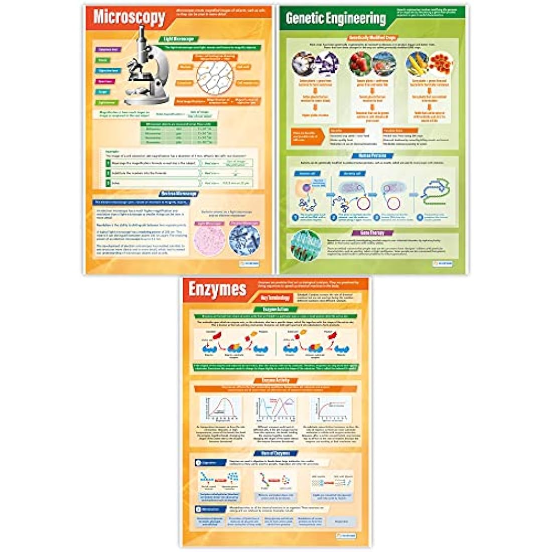 Daydream Education Biology Science Posters | Set of 13 Laminated A1 Charts