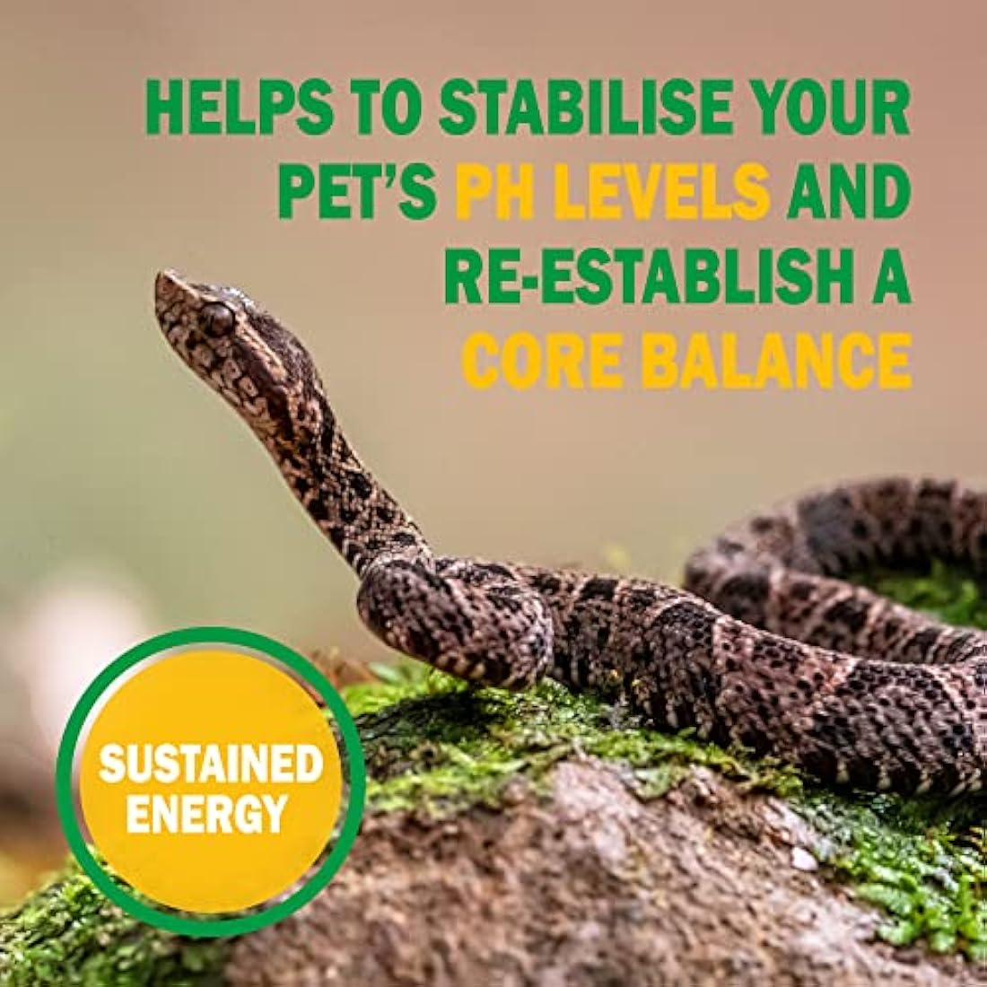Vetark Reptoboost Probiotic & Electrolyte Supplement for Reptiles - 300g