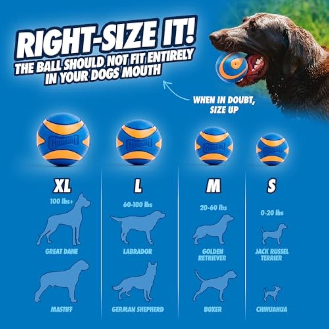 ChuckIt! Ultra Squeaker Dog Ball – Durable High Bounce Rubber Toy, X-Large