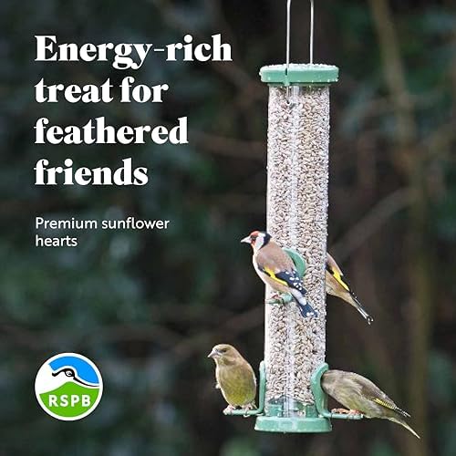 RSPB Sunflower Hearts Wild Bird Food – 4kg High Energy Bird Seed