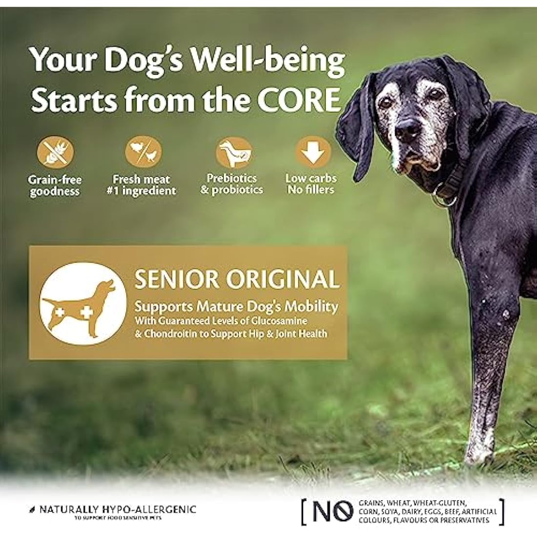 Wellness CORE Senior Grain-Free Dog Food | Turkey & Chicken - 10kg