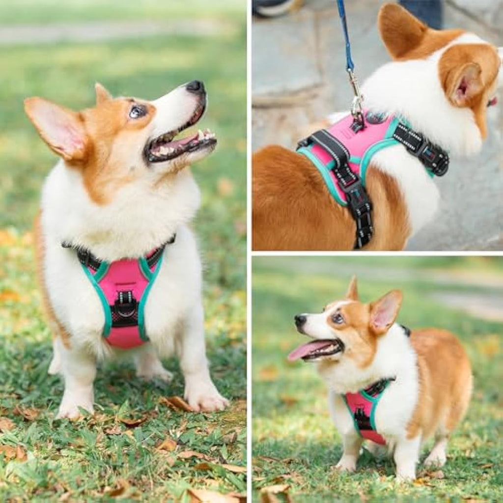 PHOEPET No Pull Dog Harness | Reflective Adjustable Training Vest - Pink