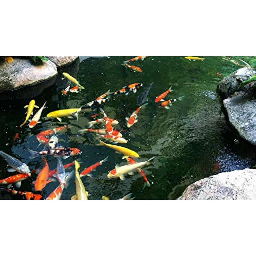 AlpineReach Heavy Duty Pond Netting - 8.5m x 9m Woven Mesh Leaf Cover