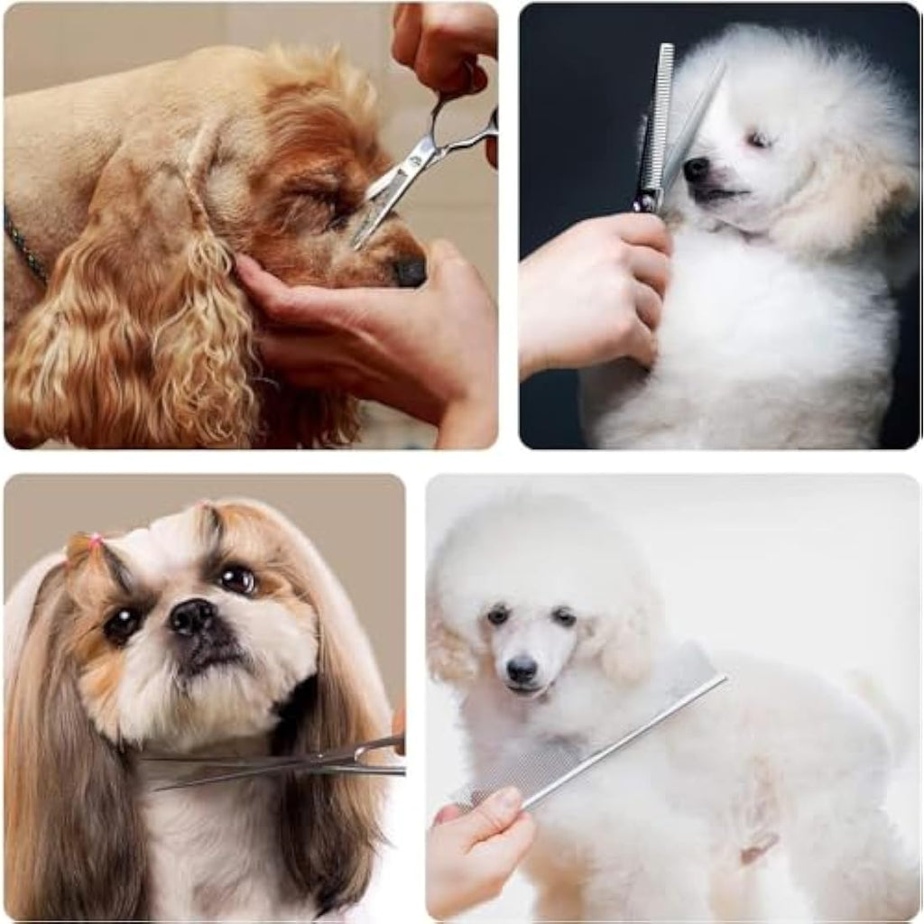 Everesta 5-Piece Dog Grooming Scissors Kit with Safety Round Tips