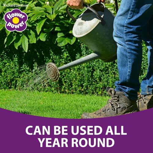 Richard Jackson Lawn Magic | Liquid Lawn Feed with Seaweed Extract (5L)