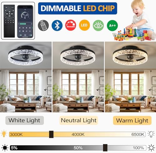 Modern Quiet Ceiling Fan with Dimmable LED Light – Black