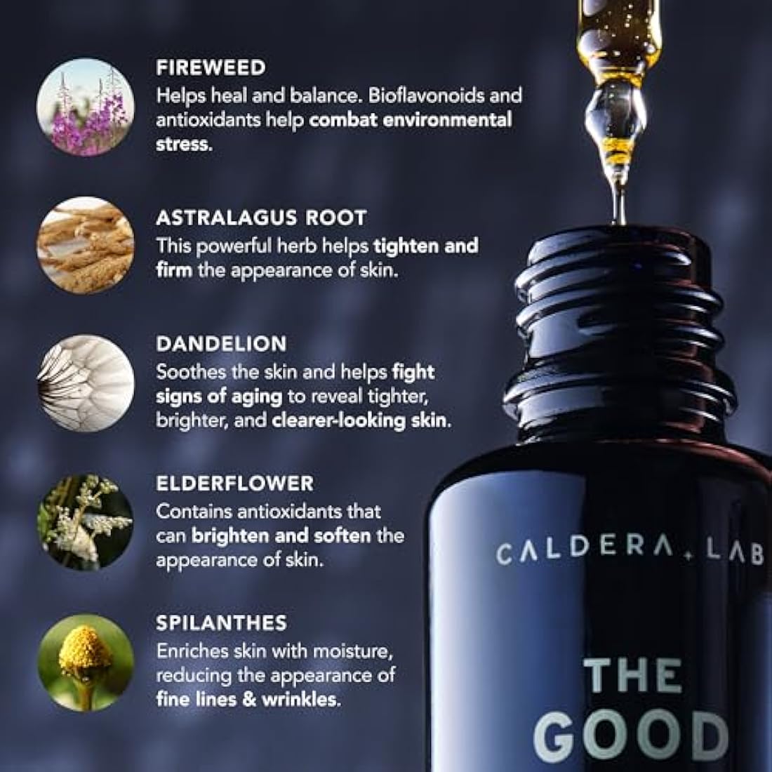 Caldera + Lab The Good | Men's Organic Anti-Aging Face Serum - 27 Botanicals