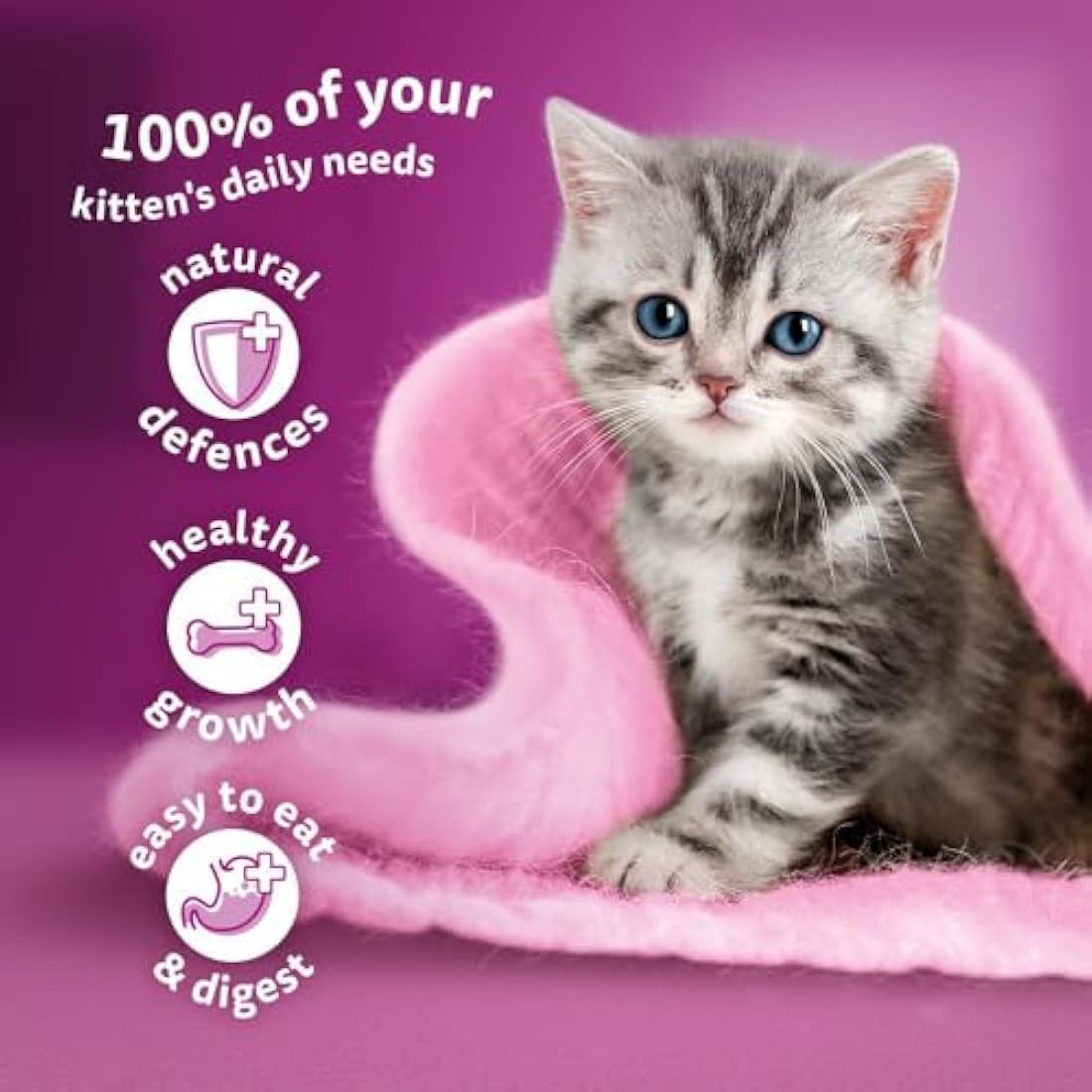 Whiskas Junior Wet Kitten Food Pouches – Mixed Selection in Gravy (84 Pack)