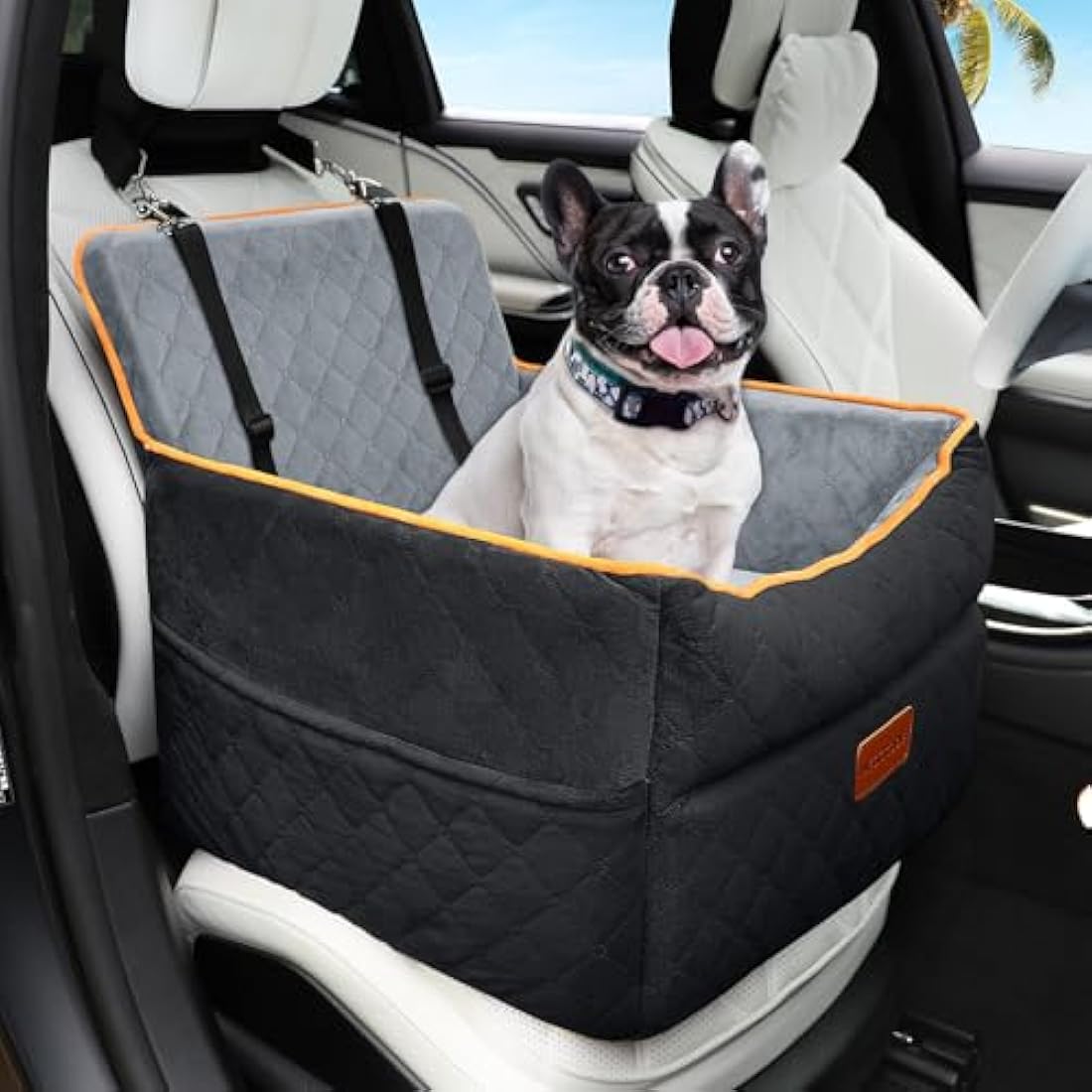 HEGGCOOE Memory Foam Dog Car Seat | Washable Booster Seat for Medium Dogs