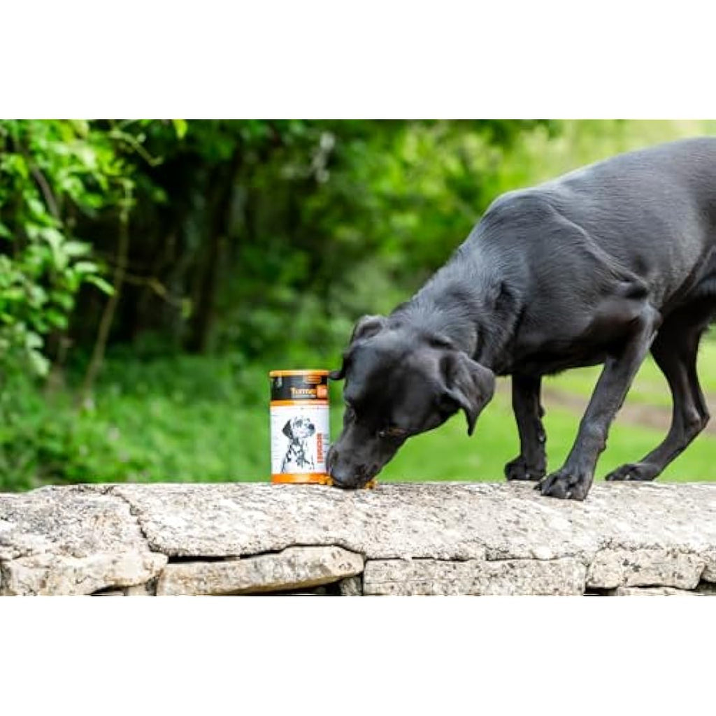 TurmerEase Chicken & Turmeric Joint Supplements for Dogs & Cats