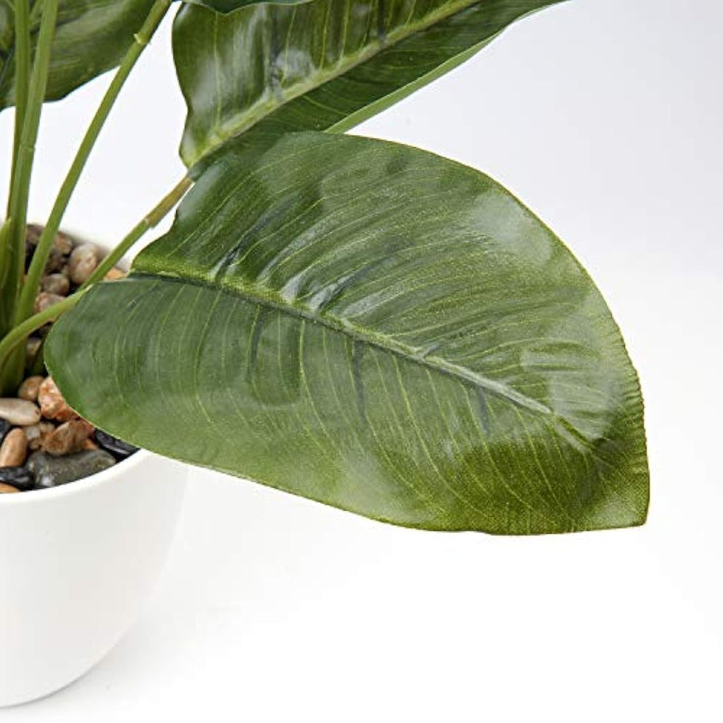 Hollyone 45cm Artificial Dieffenbachia Plant in Pot - Faux Tropical Greenery