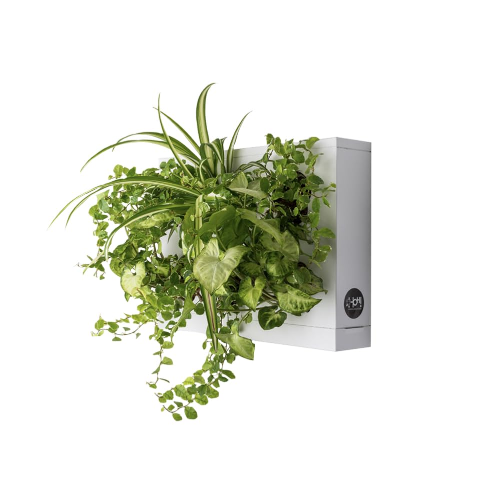 Ortisgreen HOH Vertical Garden Wall Planter – White Indoor/Outdoor Kit