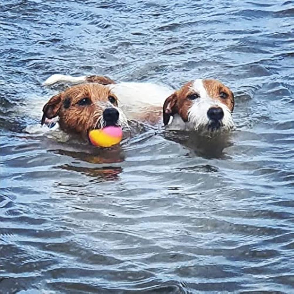 SPORTSPET High Bounce Natural Rubber Dog Balls – 6 Pack Floating Fetch Toys
