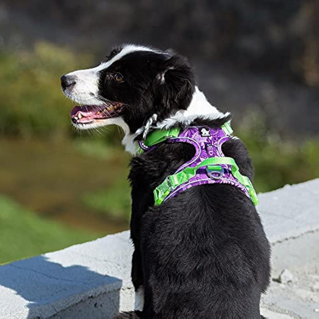 Jolof Store No Pull Dog Harness | Reflective Nylon Step-in Vest – Purple