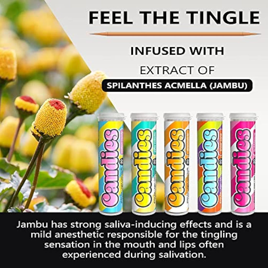 Xero Picks Candies Flavored Toothpicks | Dry Mouth Relief | 5 Pack