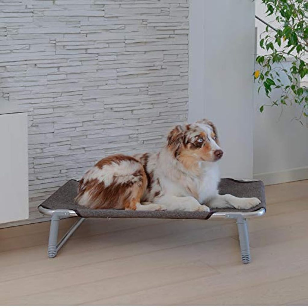 Ferplast Dream 80 Dog Bed – Foldable Aluminium Frame Cot, 84x54cm