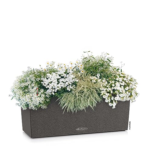 Lechuza BALCONERA Stone 50 Self-Watering Planter | Stone Look Window Box