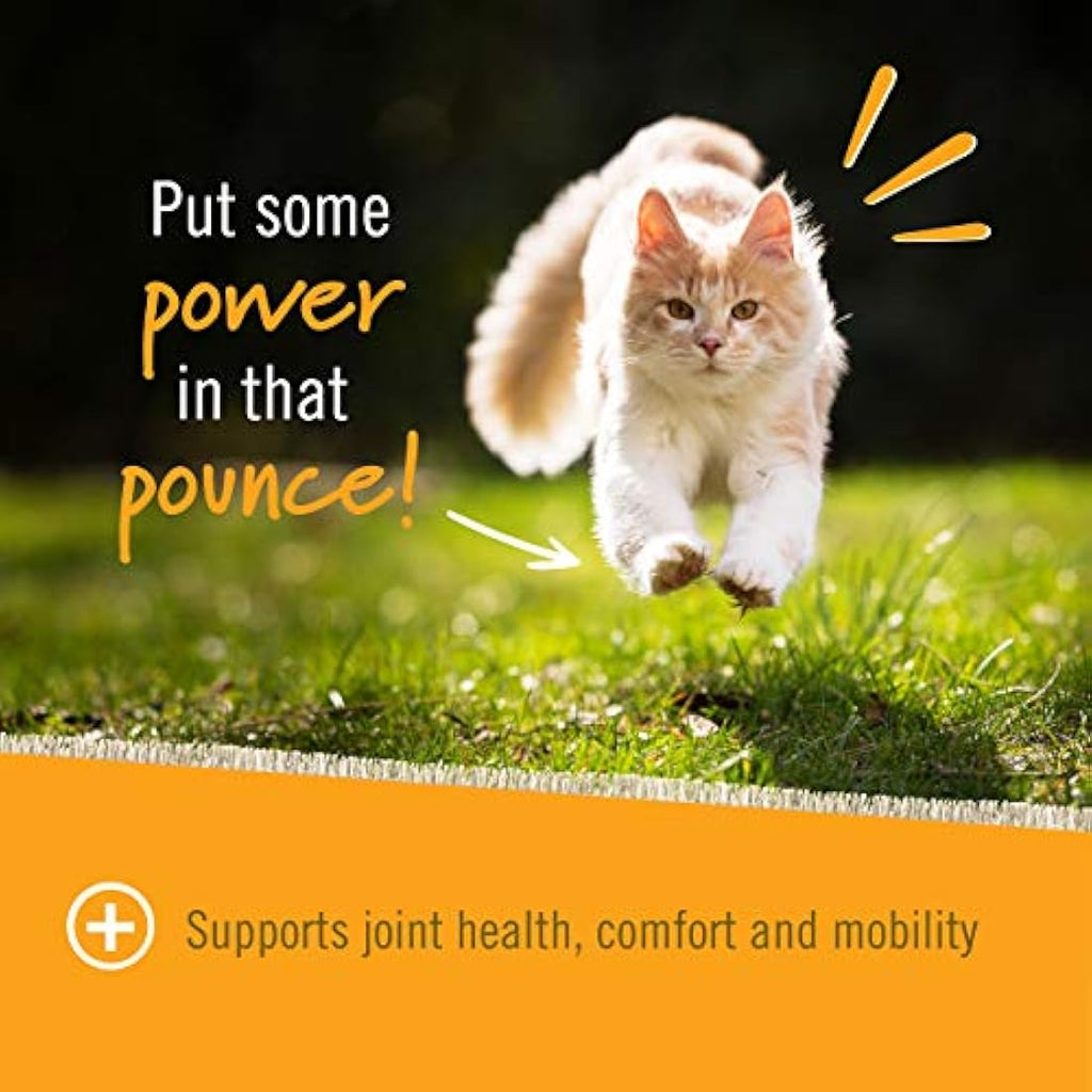 Pet Naturals Hip + Joint Support Supplement for Cats - 30 Chews