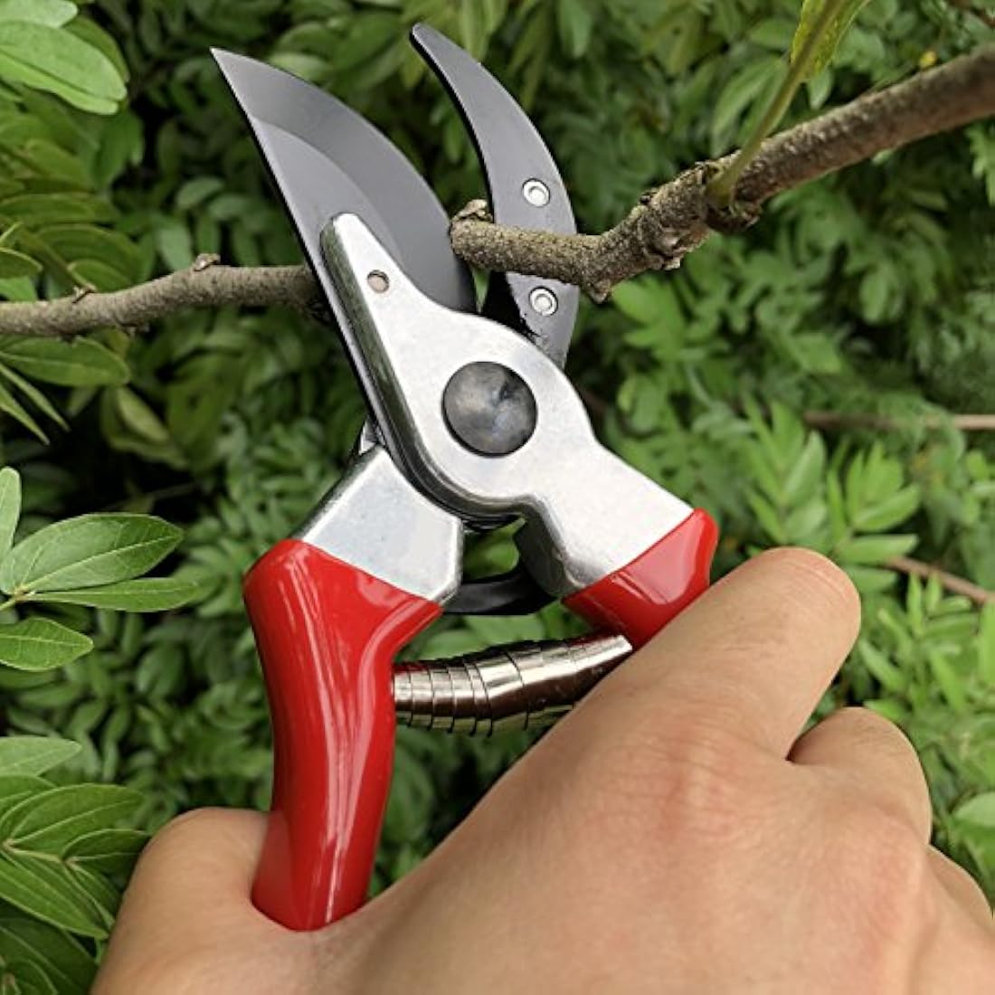 Gonicc 8" Professional Bypass Pruning Shears – High Carbon Steel Pruners