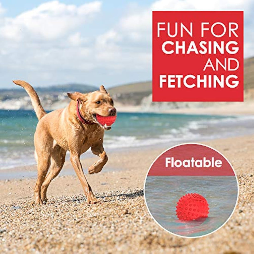 Squeaky Dog Ball – Durable Spiky Toy for Large Breeds
