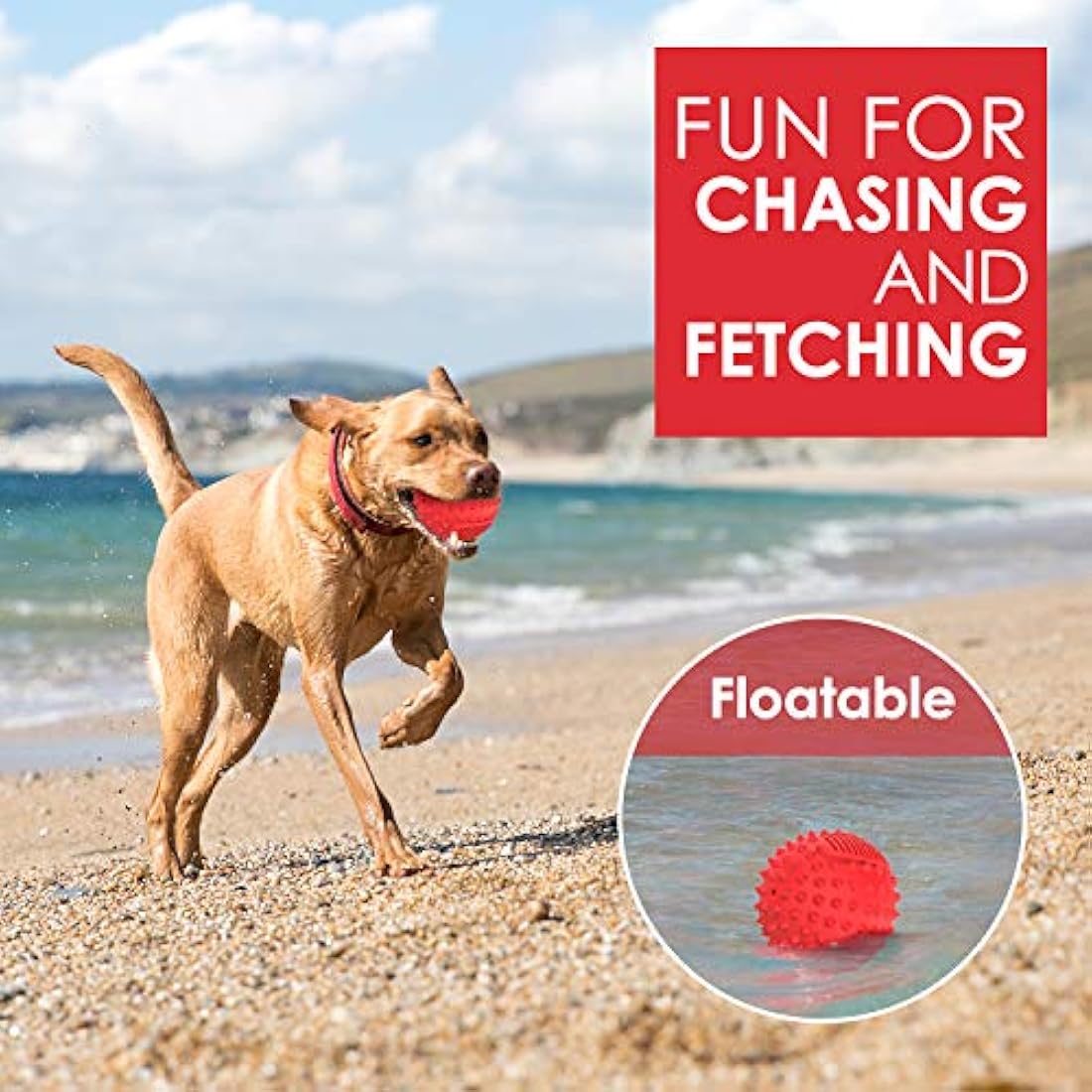 Squeaky Dog Ball – Durable Spiky Toy for Large Breeds