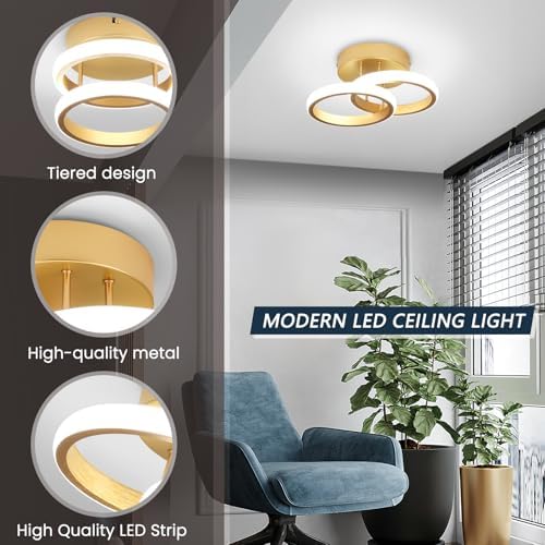 Jolof Store Modern LED Ceiling Light – 22W Gold Flush Mount 6000K
