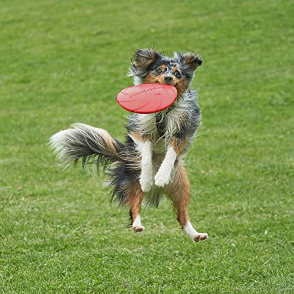 Dog Flying Disc – 2 Pack 7 Inch Floating Rubber Fetch Toy