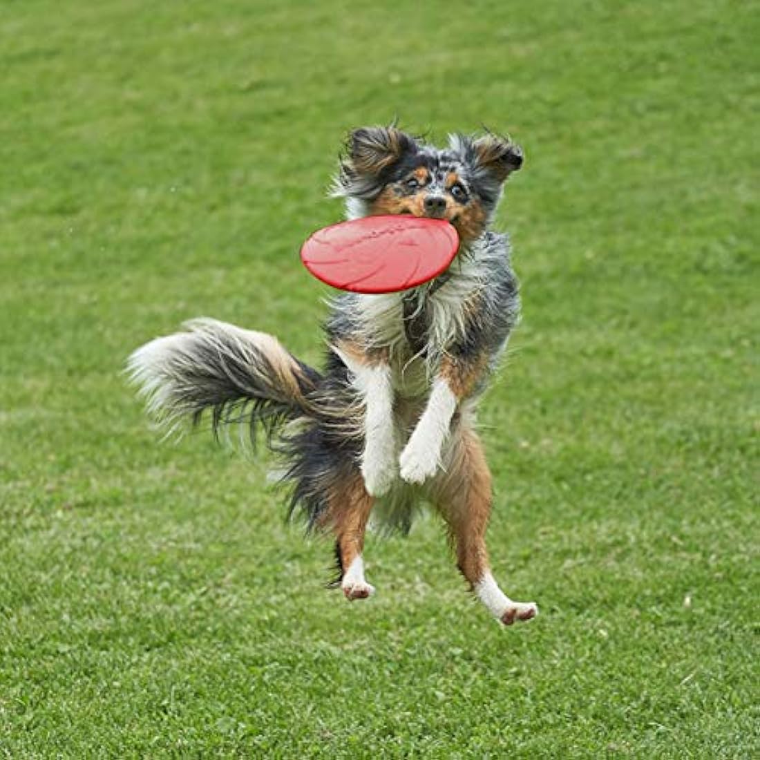 Dog Flying Disc – 2 Pack 7 Inch Floating Rubber Fetch Toy