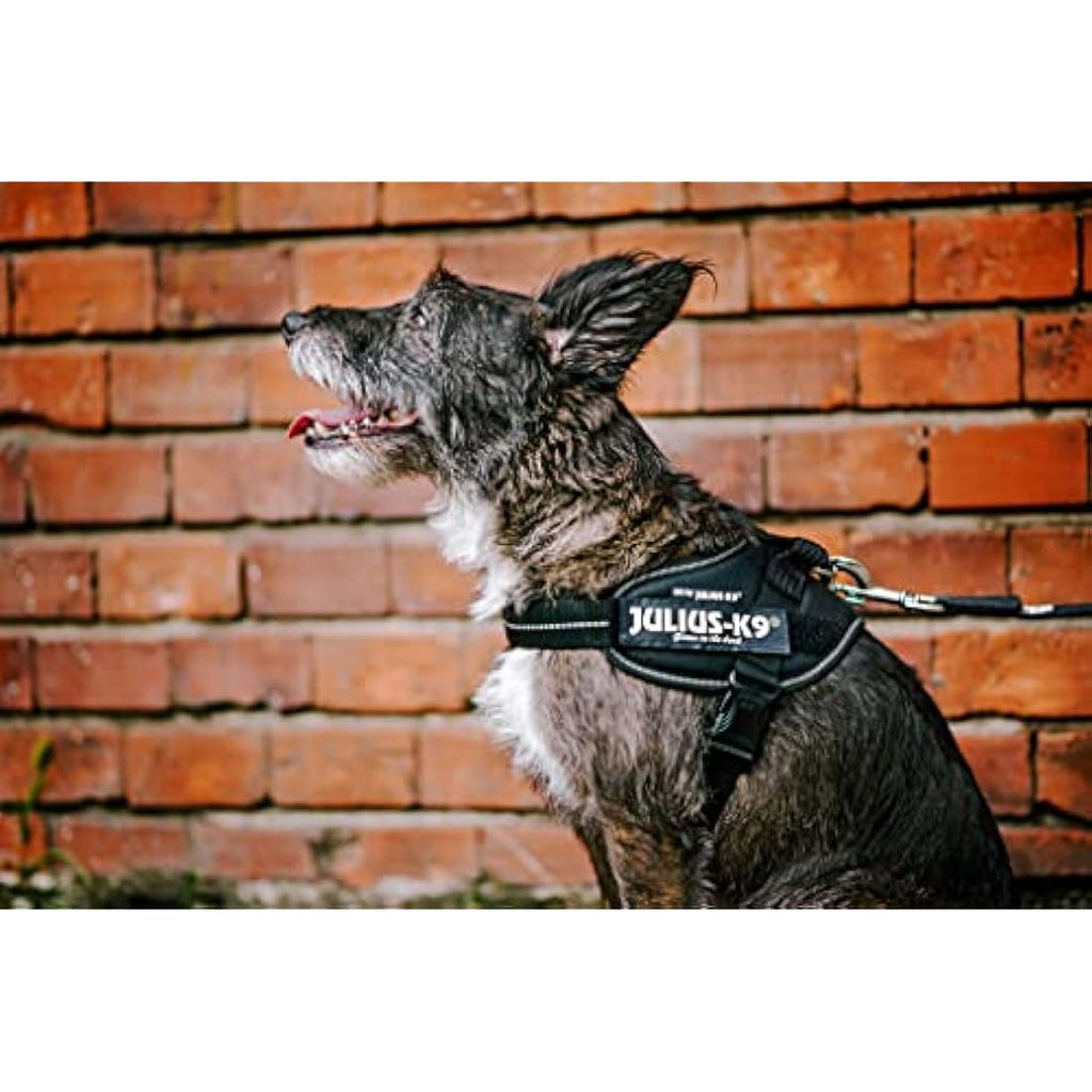 Julius-K9 IDC Powerharness | Reflective Dog Harness - Blue, Size Mini